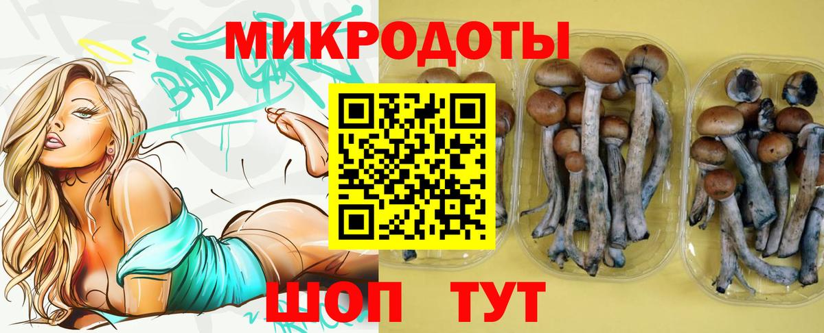 Галлюциногенные грибы мицелий Чернушка